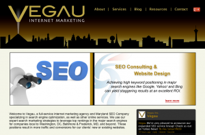 Vegau Internet Marketing home