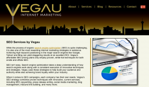 Vegau SEO Website